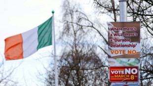 Early Irish referendum tallies indicate 'No' vote on family and care