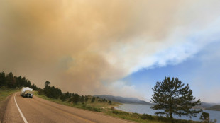 Un estadounidense provoca un incendio forestal al intentar quemar una araña