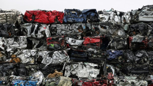 Pièces d'occasion et reconditionnement : le recyclage des voitures en vogue