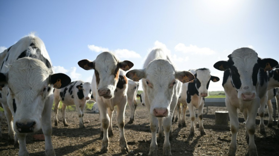 Agriculture: l'Assemblée s'empare du projet de loi pour répondre à la colère