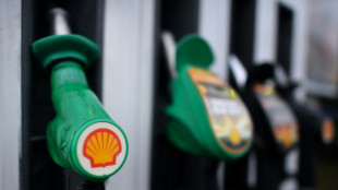 British court spares Shell in climate case