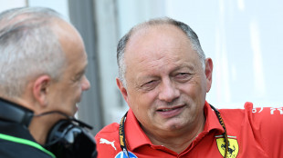 Vasseur, a Interlagos serve un grande sforzo di squadra