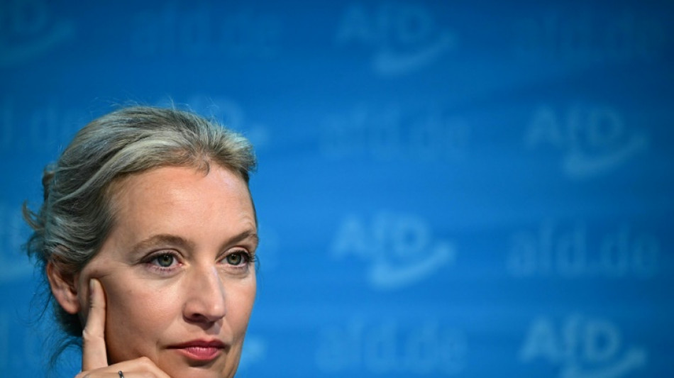 AfD-Vorstand nominiert Weidel als Kanzlerkandidatin