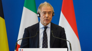 Urso, sulle auto abbiamo costretto la Commissione Ue