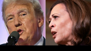 Zwei Monate vor US-Wahl: Harris und Trump in Umfragen Kopf an Kopf