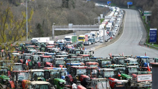 Agricultores franceses y españoles bloquean la frontera para "tener peso" en las elecciones europeas