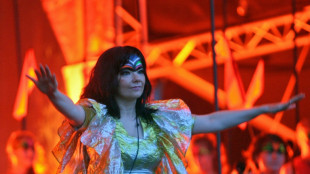 Bjork propone festivales de música a bordo de cruceros con energía solar