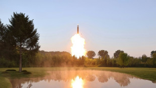 N. Korea says successfully tested multiple-warhead missile
