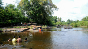 Controversial Cambodia carbon credit project reinstated