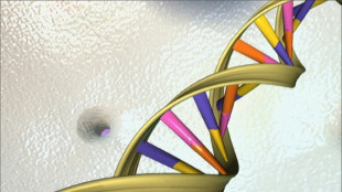 Google AI tool predicts danger of genetic mutations