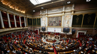 Un projet de loi portant des moyens pour la sécurité, aux mains de l'Assemblée