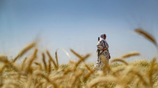 Armed Syrian Kurdish women stand guard over precious wheatfields