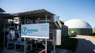 Alemania vuelve a fijarse en el biogás para cortar lazos con Rusia