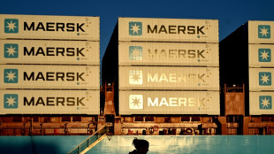 Shipping giant Maersk's profit sinks, warns of Red Sea risk