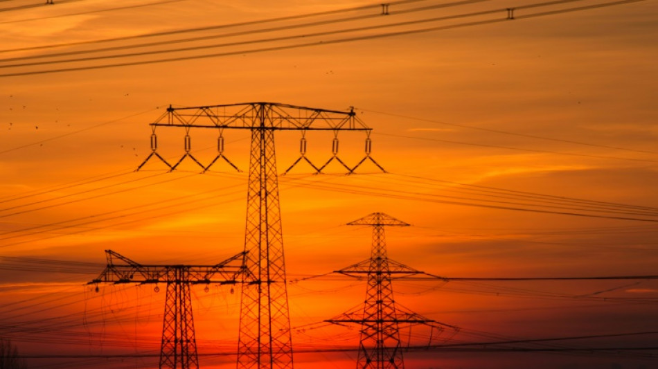 Germany considers electricity price cap for industry