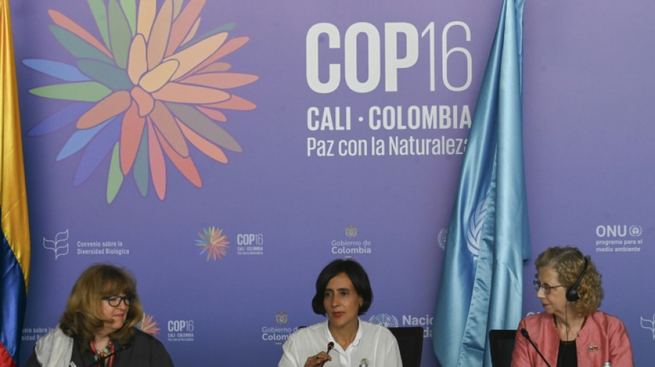 COP16 faz 'grandes progressos', diz ministra do Ambiente da Colômbia