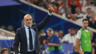 Euro 24: De La Fuente 'Spagna-Inghilterra finale spettacolare'