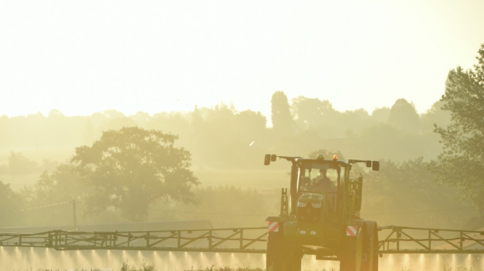 Les Etats de l'UE divisés sur la réautorisation du glyphosate, la France s'abstient