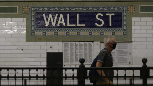 Wall Street termine en légère baisse après une autre séance volatile