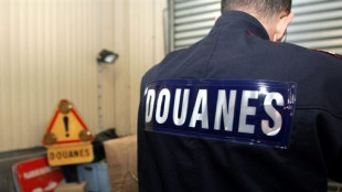 Les douanes ont saisi plus de 110 tonnes de drogues en France en 2024