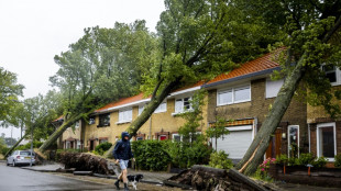 'Strongest' Dutch summer storm kills one, scrambles flights