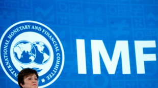 Debt and climate back on IMF, WB spring meetings agenda