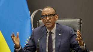 Paul Kagame: Rwanda's polarising strongman 