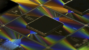 Google hails 'key milestone' in quantum computing