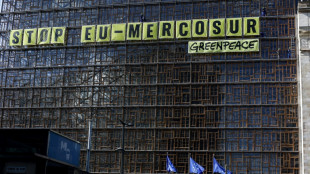 Acordo com Mercosul, o elefante na sala da cúpula UE-Celac