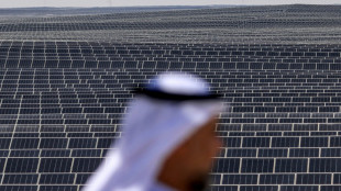 Emiratos Árabes inaugura una de las mayores centrales solares del mundo