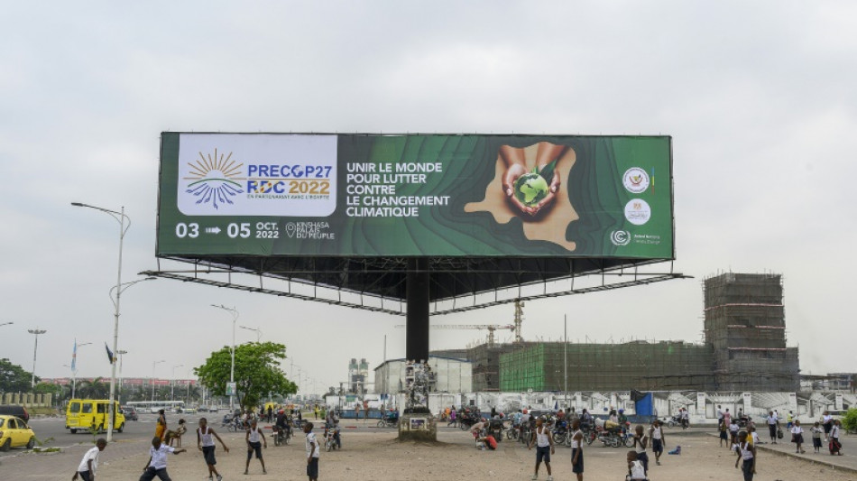 Pre COP27 pone el acento en los esfuerzos para ayudar a los países pobres a frenar el calentamiento global