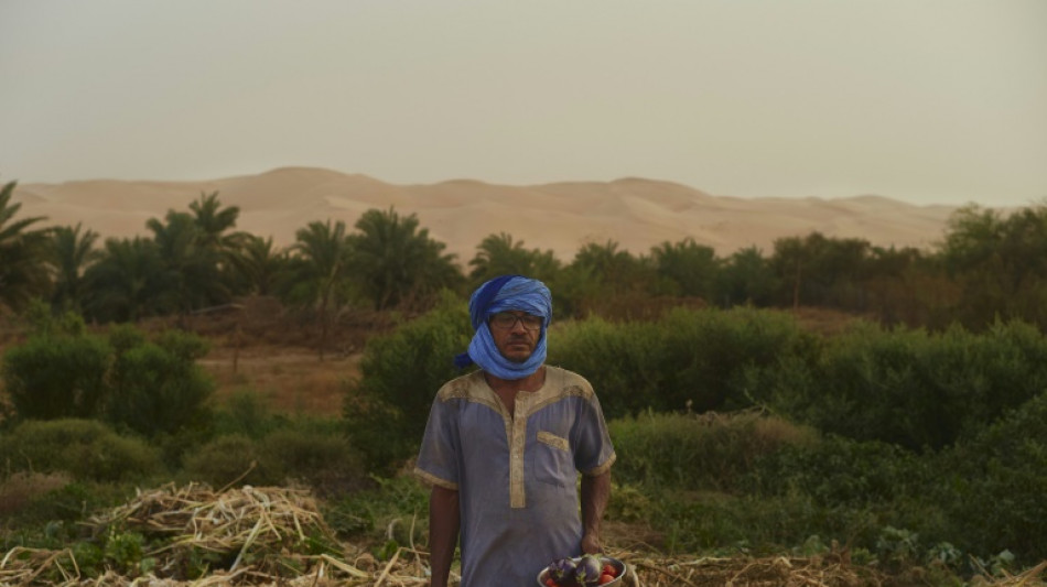 Entre dunes et montagne de Mauritanie, l'oasis de Maaden, utopie fraternelle