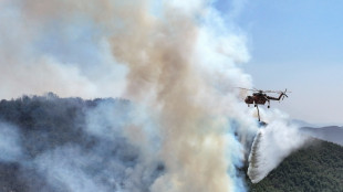 S. Korea authorities deploy choppers, troops to battle wildfire