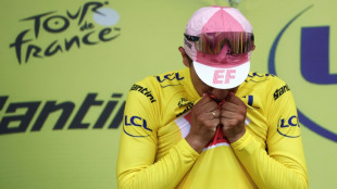 Tour de France: le nouveau leader Carapaz et les favoris à l'épreuve du Galibier
