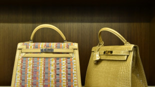 Hermes bags sales growth except in Asia