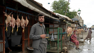 Afghanistan: à l'ombre de l'ancienne base  américaine, l'économie de Bagram se meurt