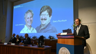 Dois americanos ganham o Prêmio Nobel de Medicina por avanços na regulação genética