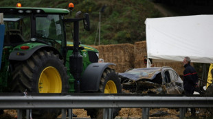 Woman dies when car rams French farmers' roadblock