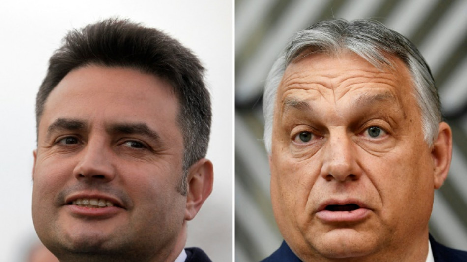 Jour de vote en Hongrie, Orban en quête d'un quatrième mandat