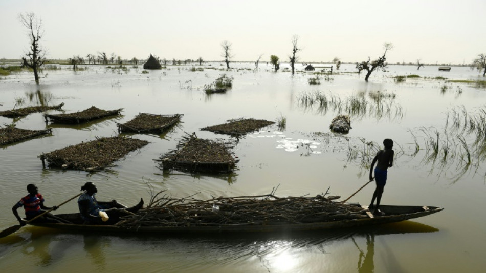 'Uncharted territory': South Sudan's four years of flooding