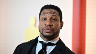 Actor Jonathan Majors avoids jail time for assault conviction