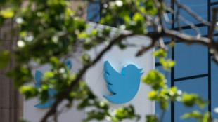 Twitter users test free speech limits in new Musk era