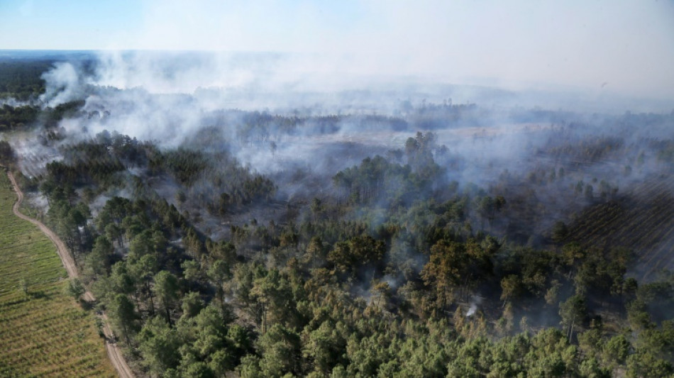 La Gironde en vigilance rouge feux de forêt, près de 5.000 hectares brûlés