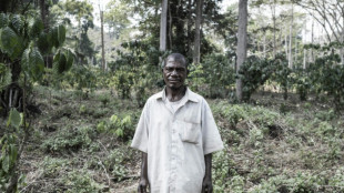 La deforestación amenaza a los pigmeos aka en República Centroafricana