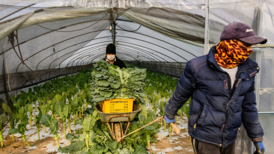 Frustrated foodies gobble up South Korean grocery unicorn