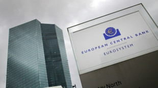 ECB sticks to planned rate hike despite turmoil