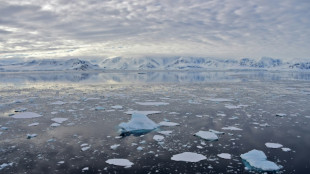 Antarctique: un immense iceberg se détache de la banquise