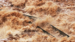 Storms swell Iguazu falls to near decade-high flow