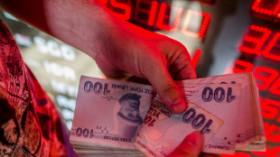 Earthquake sends tremors through Turkey's fragile economy