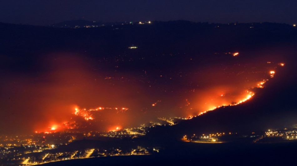 Feux de forêts dans le nord d'Israël après des tirs de roquettes du Liban